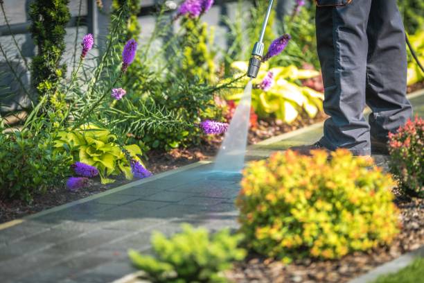 Professional Pressure Washing Services in Hilltop, MN