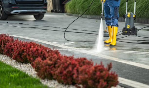 Best Graffiti Removal  in Hilltop, MN